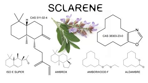 sclarene